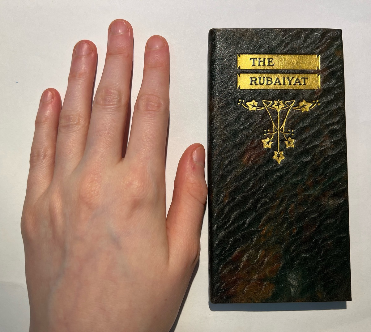 How big the copy is, my hand for comparison