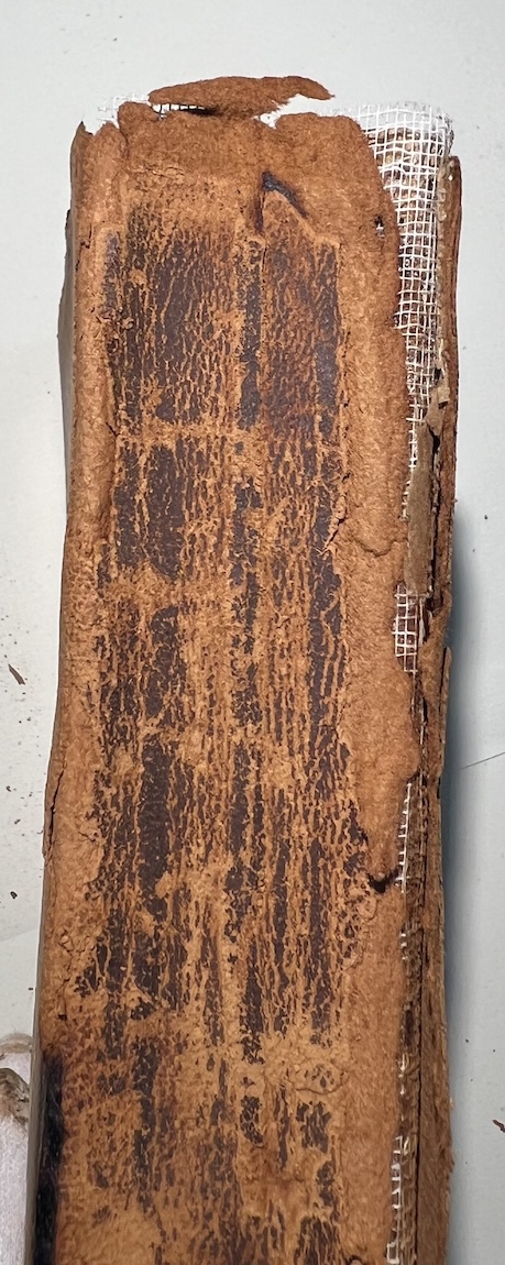 Spine with the super cloth beneath what is left of the leather.